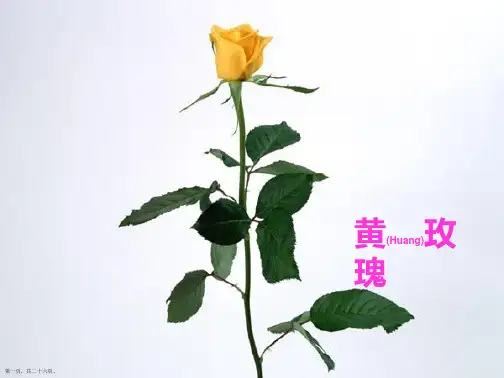 二年级语文下学期《小鹿的玫瑰花》ppt课件