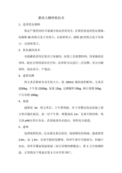 蘑菇大棚种植技术