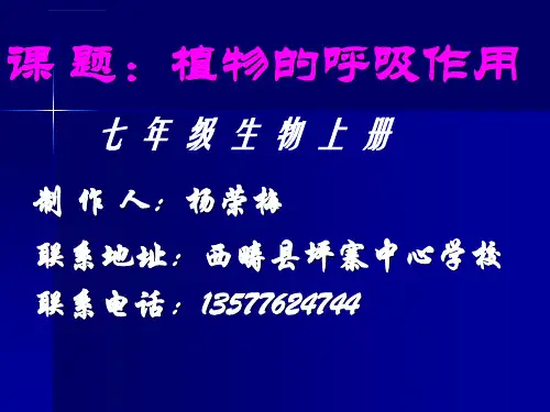 植物呼吸作用ppt课件