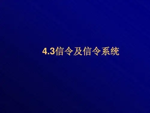 信令及信令系统