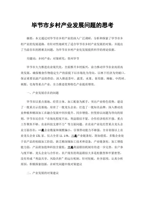 毕节市乡村产业发展问题的思考