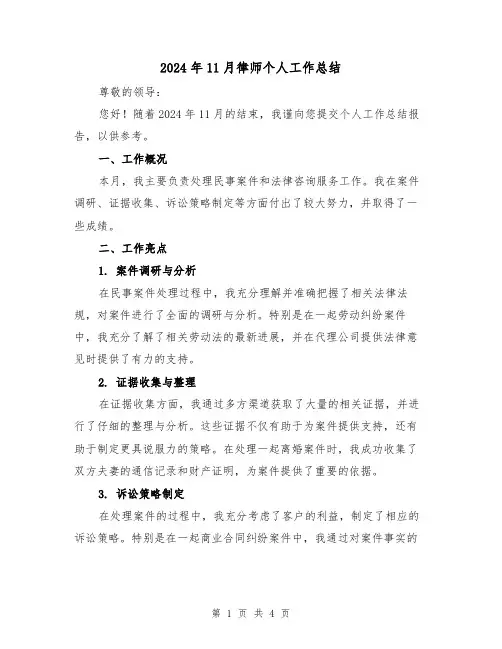 2024年11月律师个人工作总结(2篇)