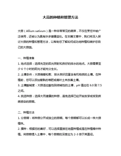 大蒜的种植和管理方法