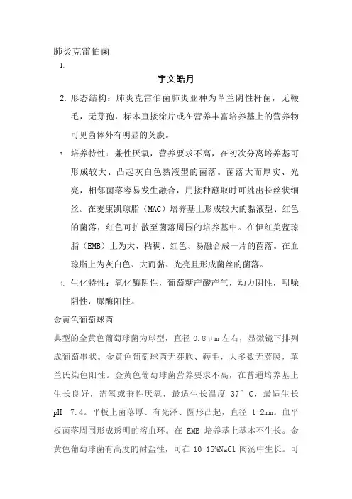 常见细菌及图片