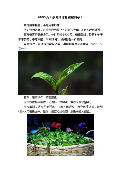 6900万！茶叶炒作套路被揭穿！