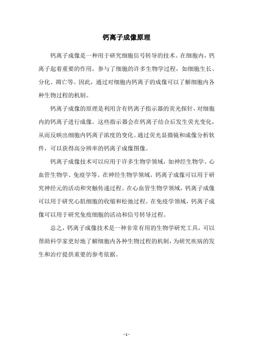 钙离子成像原理