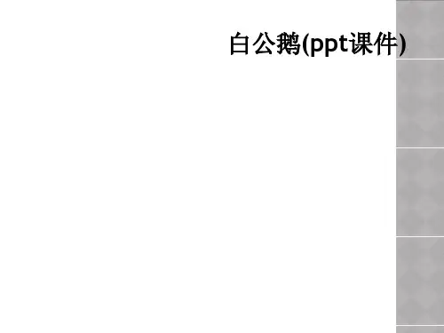 白公鹅(ppt课件)