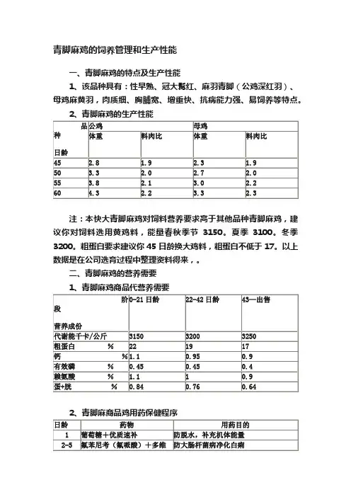 青脚麻鸡的饲养管理和生产性能