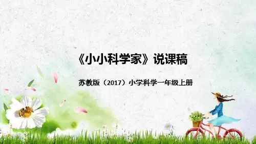 苏教版(2017)小学科学一年上册《小小科学家》说课(附反思、板书)课件