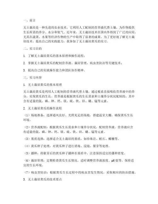 无土栽培黄瓜实习报告