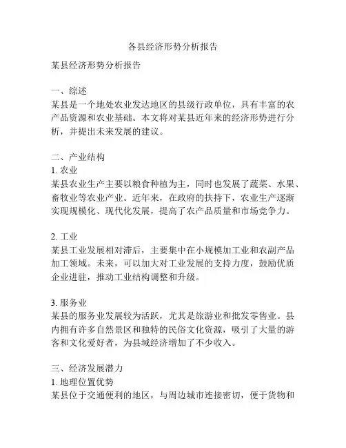 各县经济形势分析报告