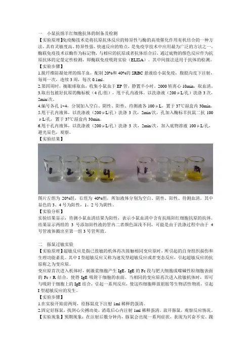 免疫实验四