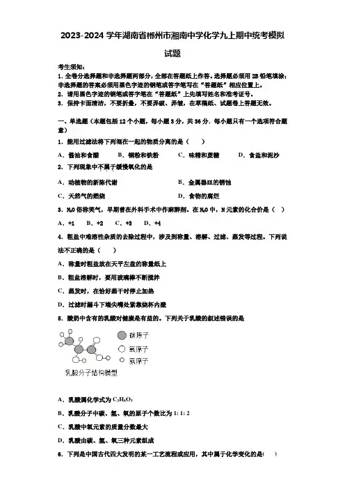 2023-2024学年湖南省郴州市湘南中学化学九上期中统考模拟试题含解析