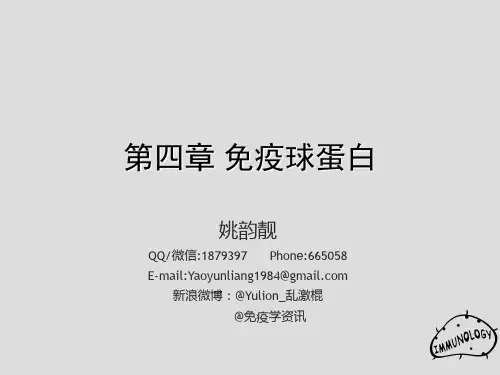 第4章 免疫球蛋白1
