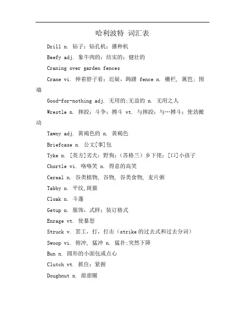 哈利波特 词汇表