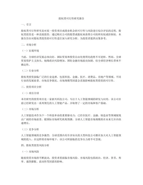 股权类可行性研究报告