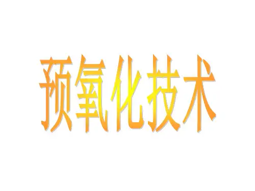 预氧化技术