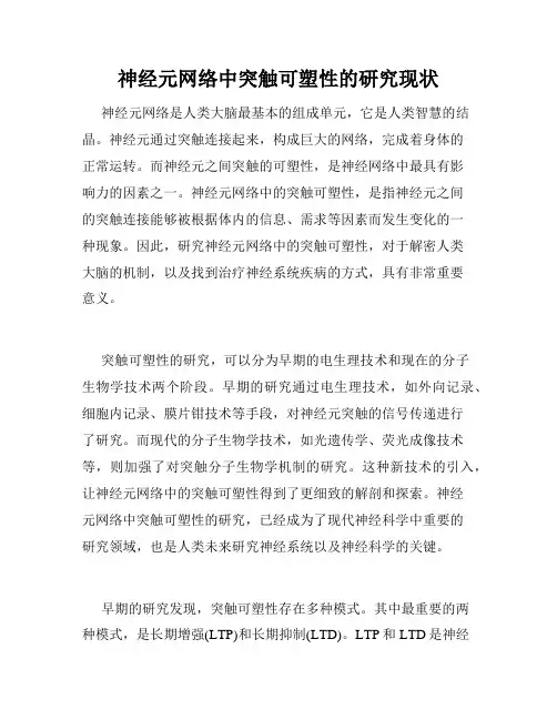 神经元网络中突触可塑性的研究现状