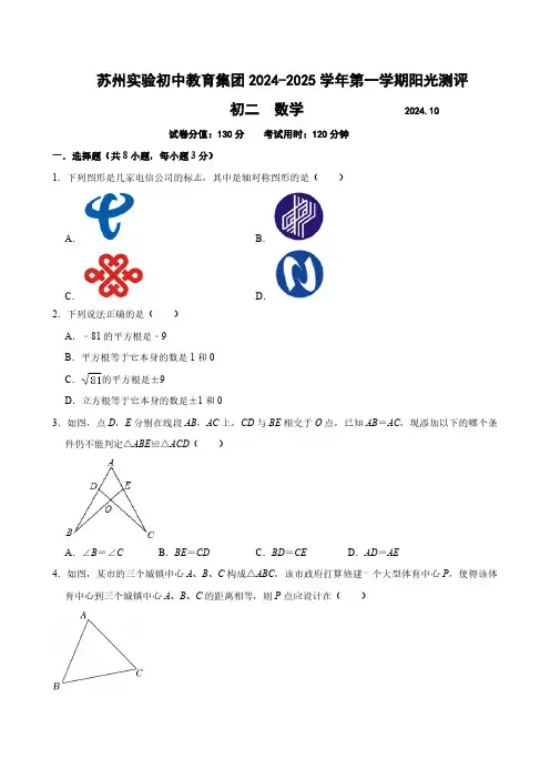 江苏省苏州市实验初中集团2024-2025学年八年级上学期十月月考数学试卷(含答案)