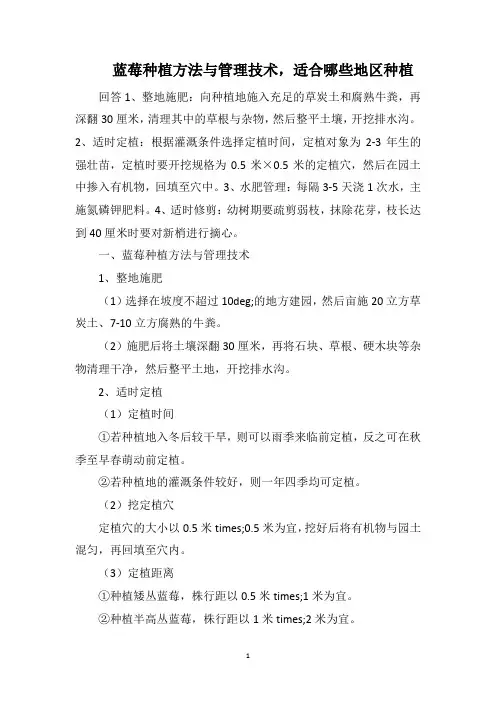 蓝莓种植方法与管理技术,适合哪些地区种植
