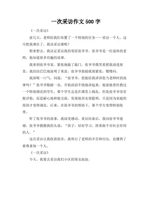 一次采访作文500字