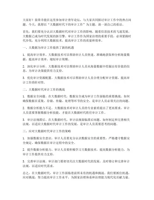 审计青年论坛发言稿范文