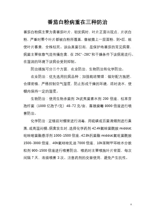 番茄白粉病重在三种防治