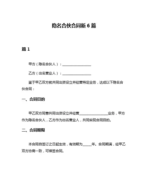 隐名合伙合同新6篇
