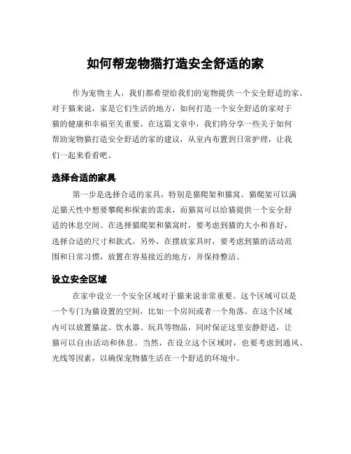 如何帮宠物猫打造安全舒适的家