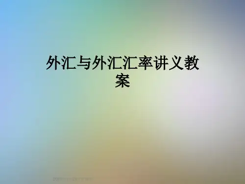 外汇与外汇汇率讲义教案