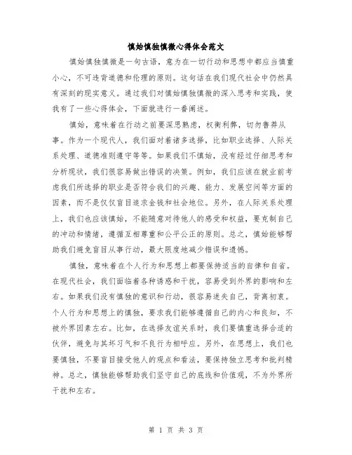 慎始慎独慎微心得体会范文