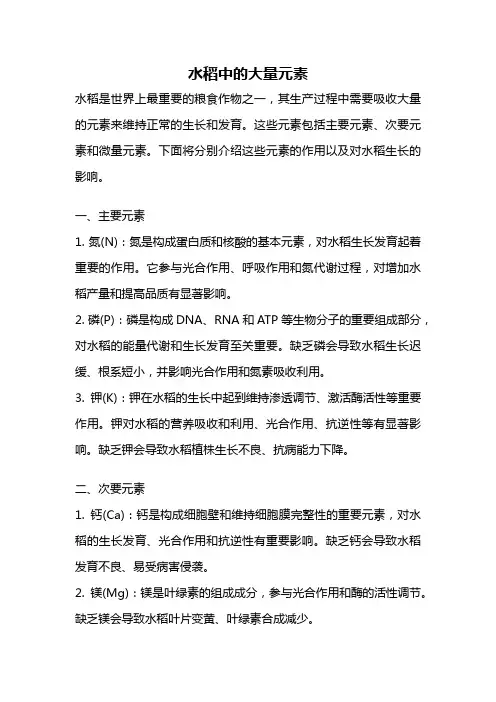 水稻中的大量元素