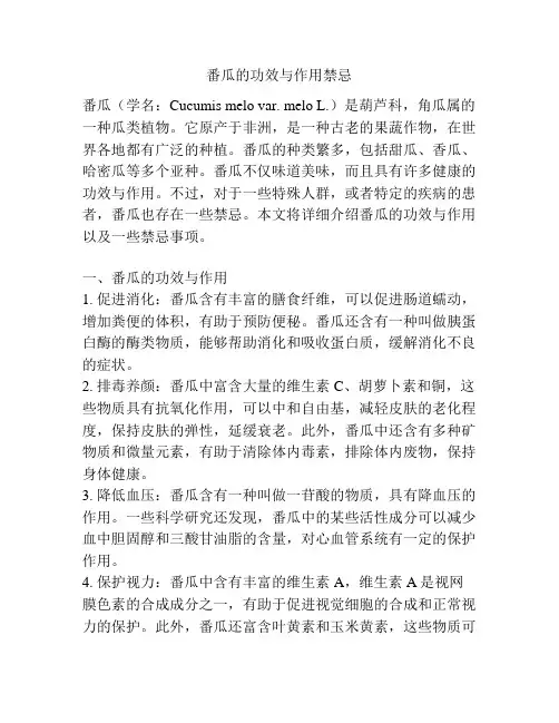 番瓜的功效与作用禁忌