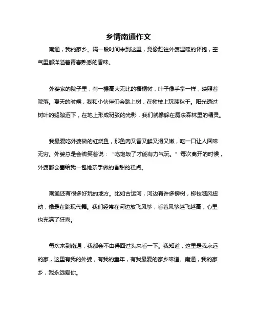 乡情南通作文