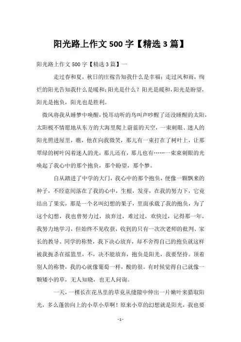 阳光路上作文500字【3篇】