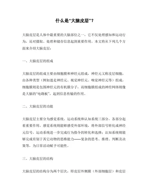 什么是“大脑皮层”？