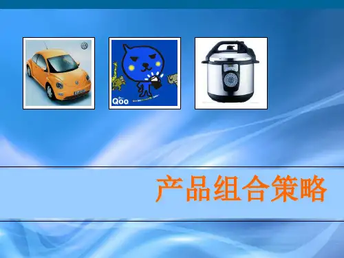 产品组合策略ppt课件