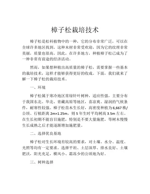 樟子松栽培技术