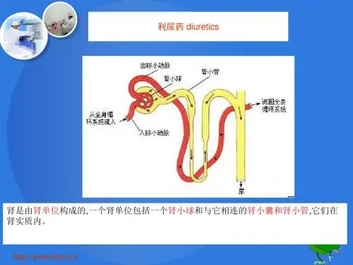 药物化学甾体药物