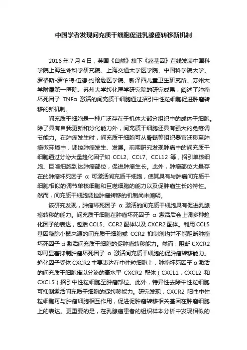中国学者发现间充质干细胞促进乳腺癌转移新机制