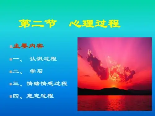 医学心理学第一章第二节 心理过程