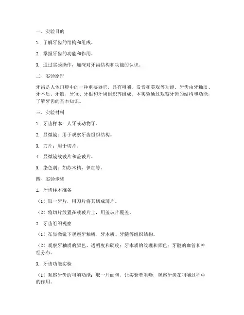 做牙实验报告