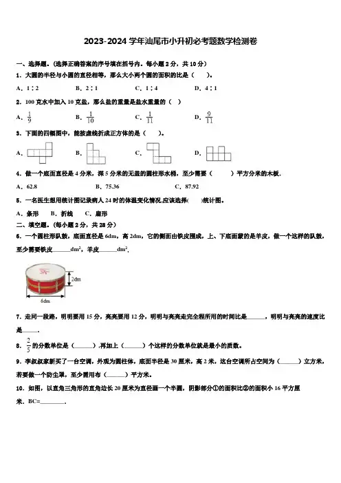 2023-2024学年汕尾市小升初必考题数学检测卷含解析