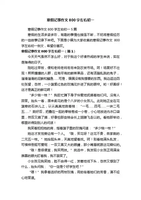 寒假记事作文800字左右初一