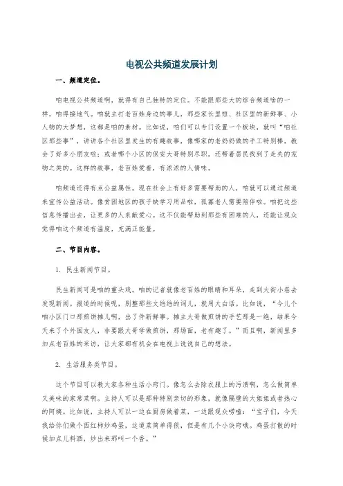 电视公共频道发展计划