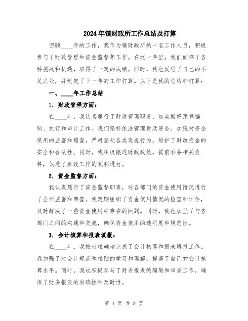 2024年镇财政所工作总结及打算