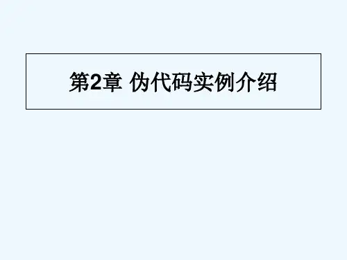 伪代码实例介绍 PPT
