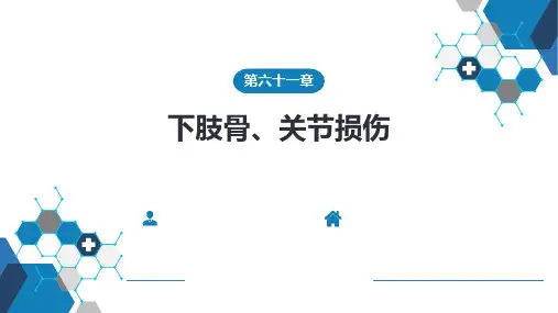 外科学-第六十一章 下肢骨、关节损伤 第一、二、三、四、五节
