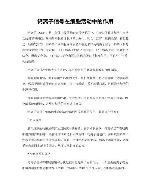 钙离子信号在细胞活动中的作用