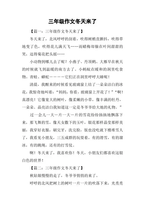 三年级作文冬天来了